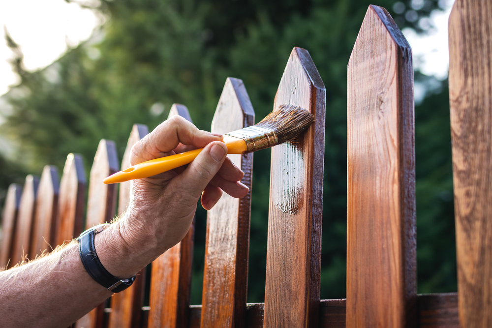 Painter brushing fresh stain onto a timber fence at a Central Coast home