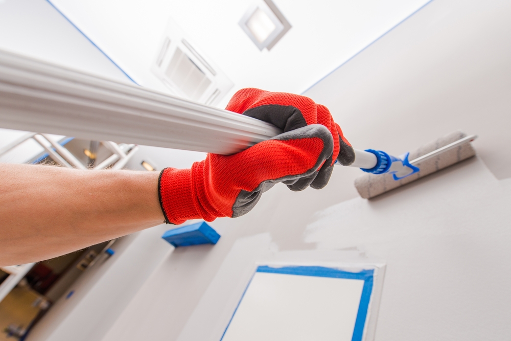 Painter rolling a wall cut in beside masked ceiling trim on a Cessnock commercial job